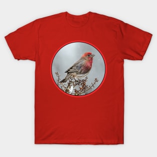 House Finch in Snow Photograph T-Shirt